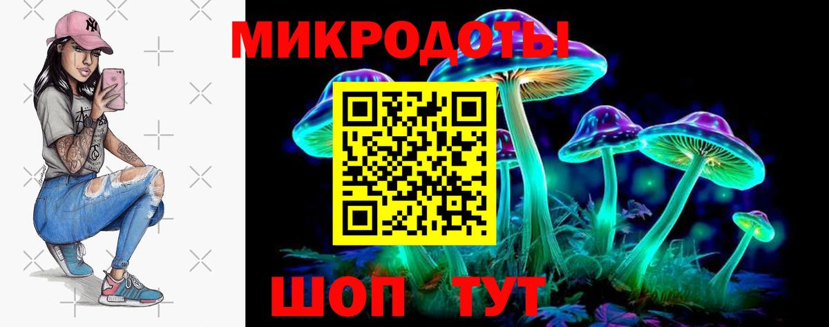 Псилоцибиновые грибы Psilocybine cubensis Рязань