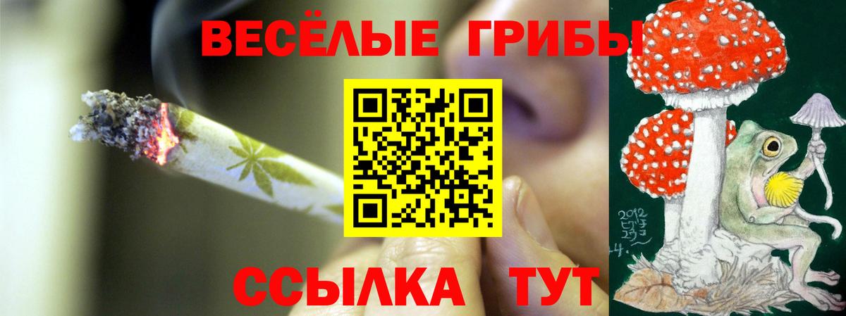 Псилоцибиновые грибы мицелий  наркошоп  Рязань  Вход с VPN 