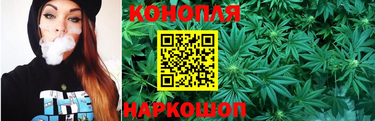 Конопля план Рязань